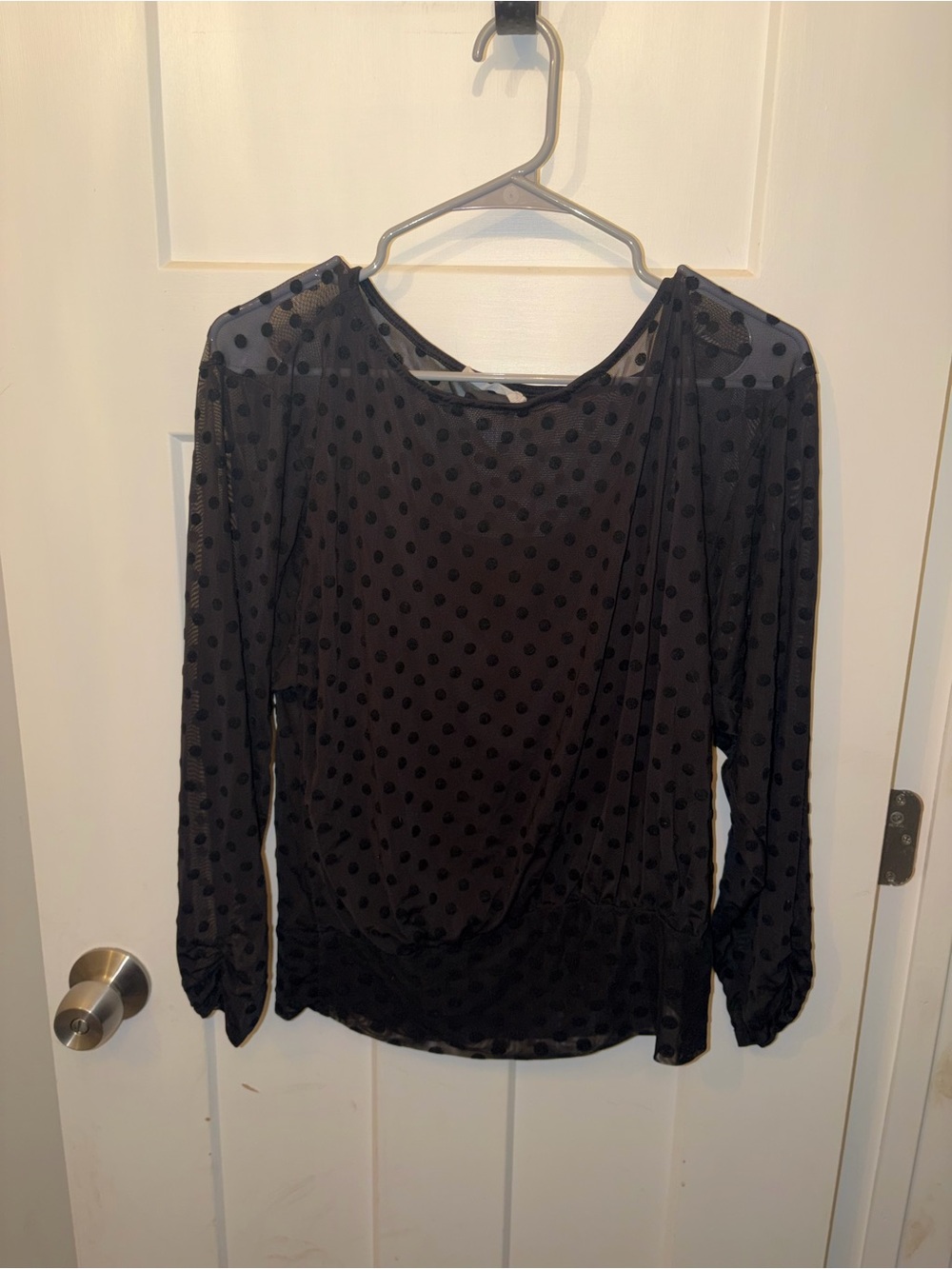 Black Polka Dot Long Sleeve Mesh Blouse - Women